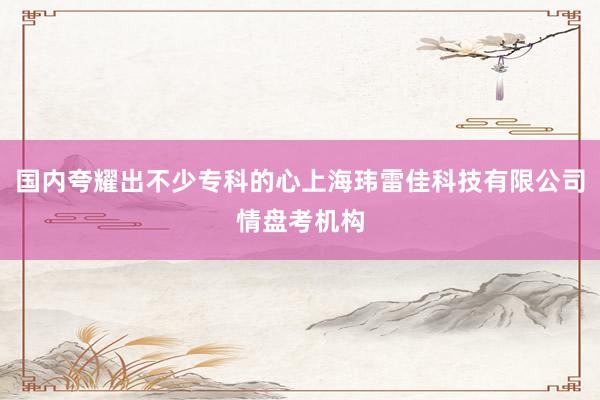 国内夸耀出不少专科的心上海玮雷佳科技有限公司情盘考机构