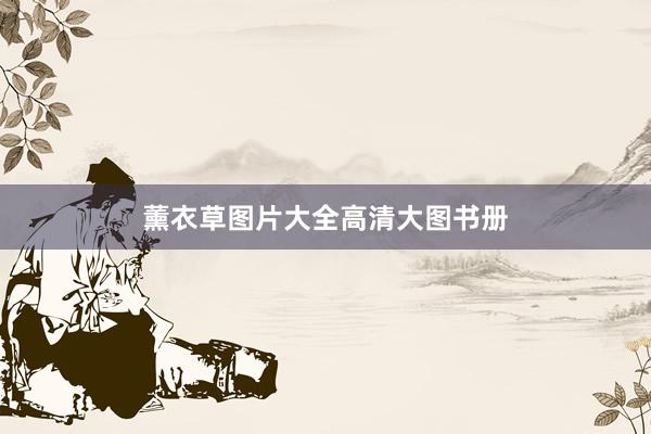 薰衣草图片大全高清大图书册