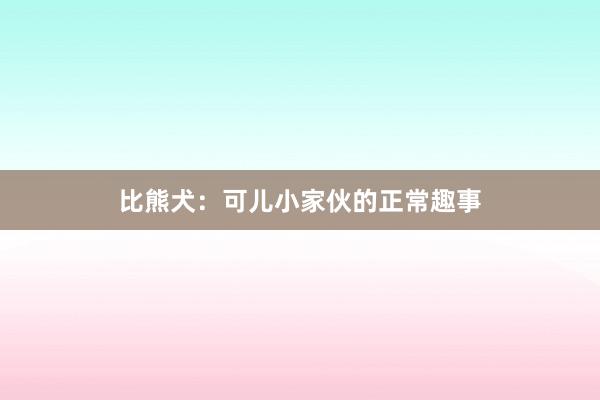 比熊犬：可儿小家伙的正常趣事