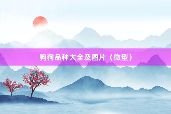 狗狗品种大全及图片（微型）